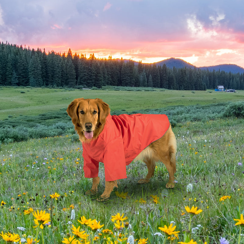 Load image into Gallery viewer, KingCamp PETS Dog Raincoat
