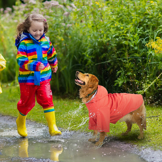 KingCamp PETS Dog Raincoat