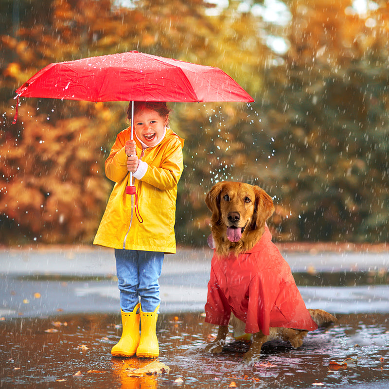 Load image into Gallery viewer, KingCamp PETS Dog Raincoat
