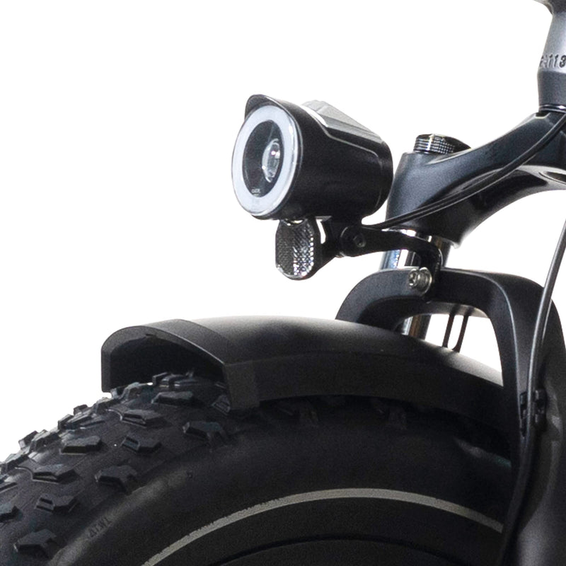 Load image into Gallery viewer, Magicycle Cruiser Pro 26&quot; Fat Tire Electric Bike 750W Electric Bike
